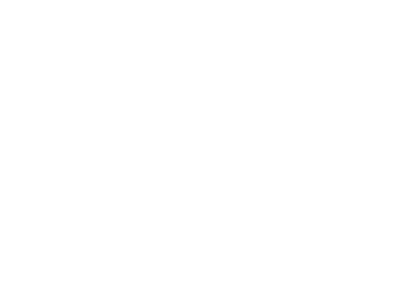 component (1)