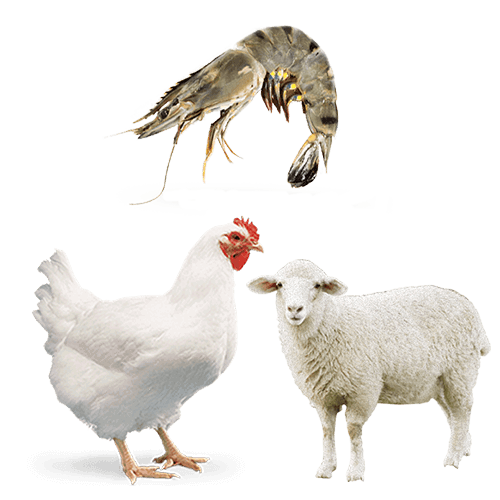 animal-health-pharmaceutical-companies-pvs