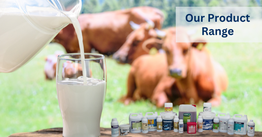 Our Product Range