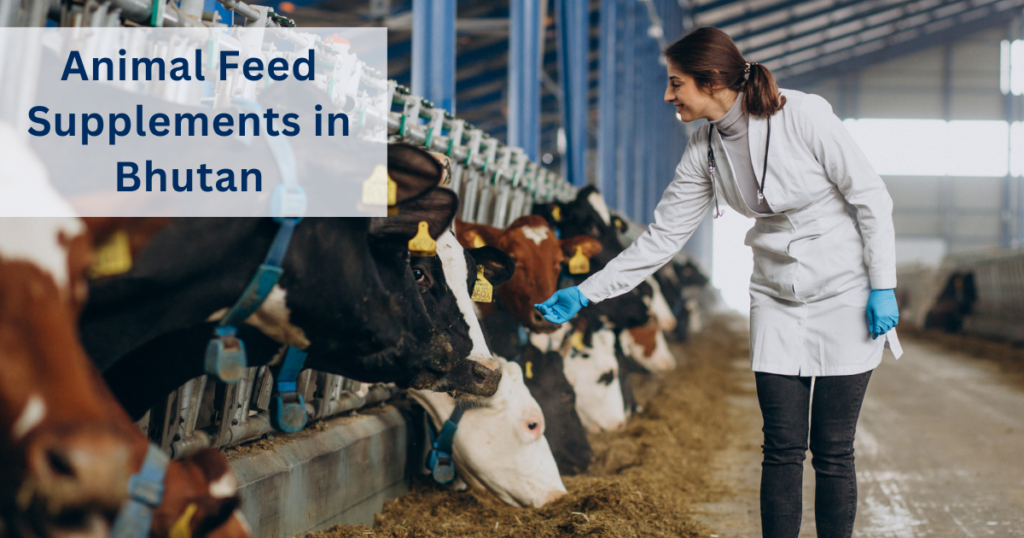 Animal feed supplement suppliers in Bhutan