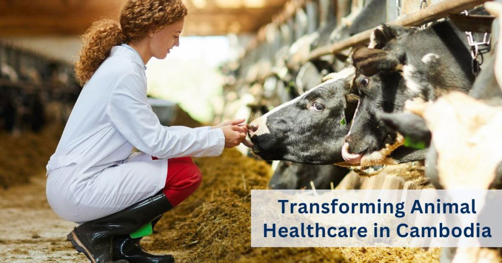 Animal healthcare in Cambodia