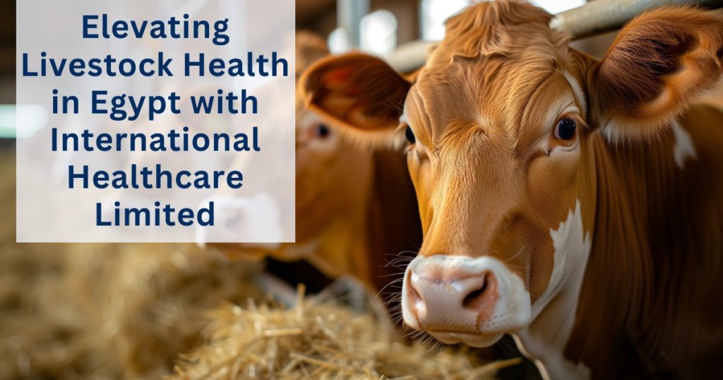 Livestock health in Egypt