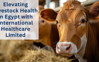 Livestock health in Egypt