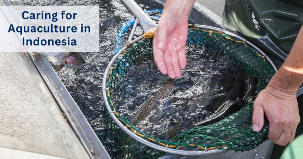 Caring for Aquaculture in Indonesia