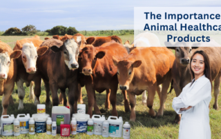 Livestock health in Indonesia