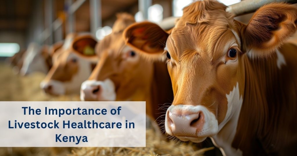 Kenya animal healthcare