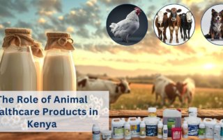 Kenya animal healthcare