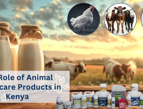 Leading Animal Healthcare Products Manufacturers in Kenya