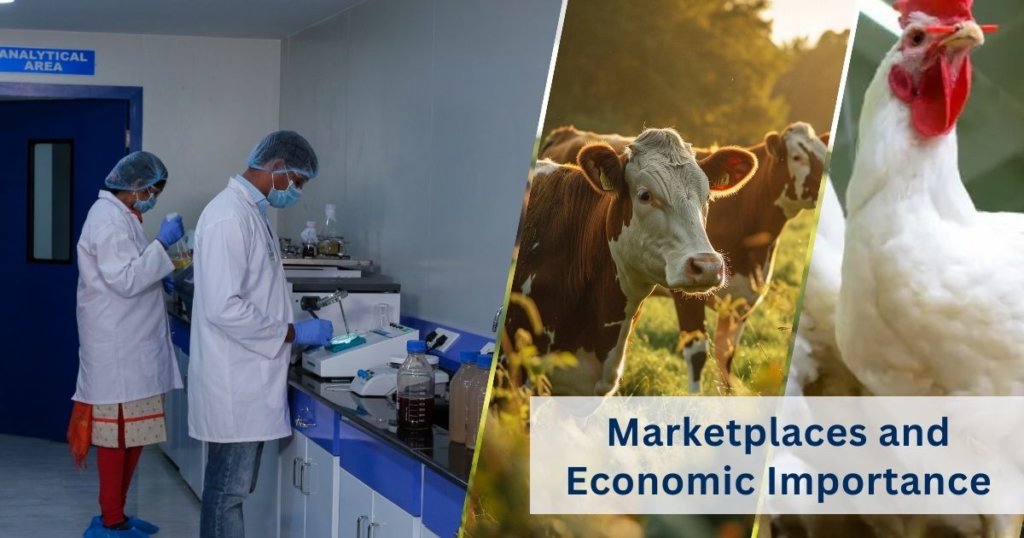 Marketplaces and Economic Importance