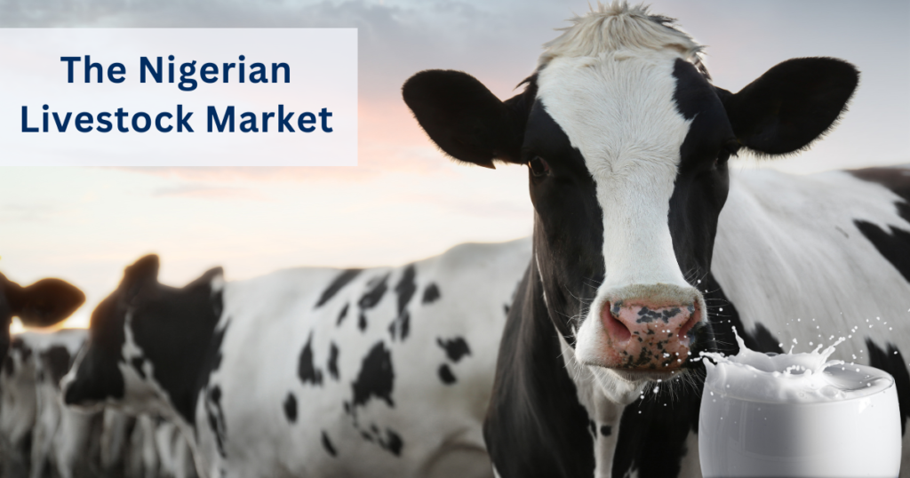 The Nigerian Livestock Market