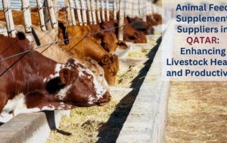 Animal feed supplement suppliers in Qatar