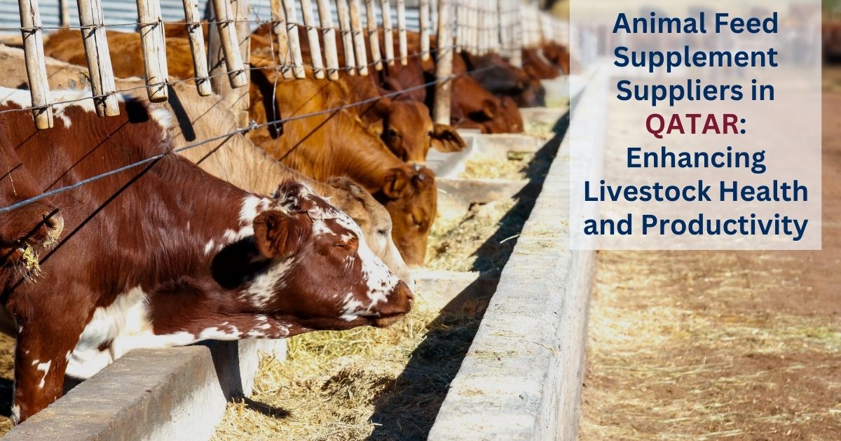 Animal feed supplement suppliers in Qatar