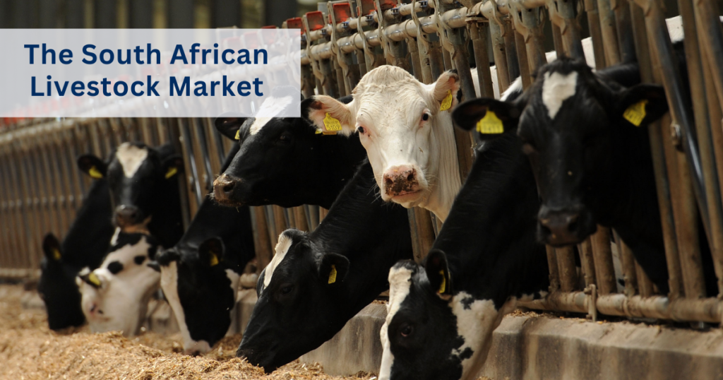 Livestock health in South Africa