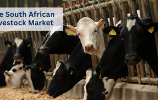 Livestock health in South Africa