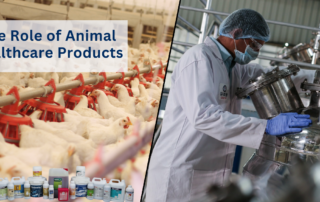 Animal healthcare products in South Korea