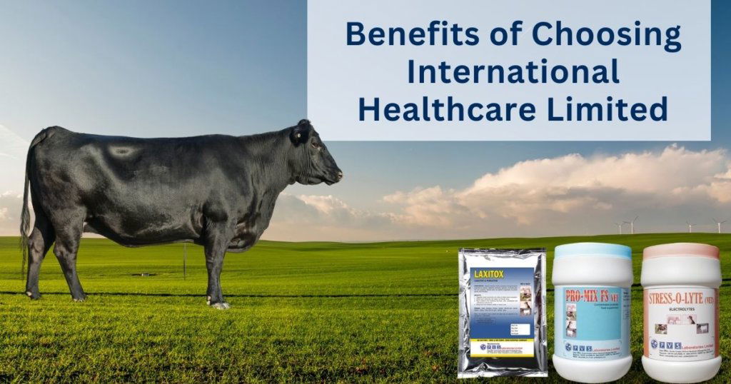 International Healthcare Limited
