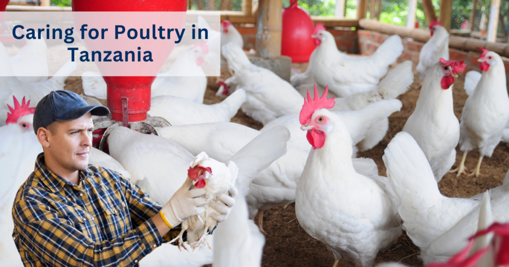 Animal healthcare products in Tanzania