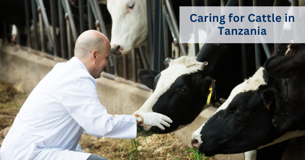 Animal healthcare products in Tanzania