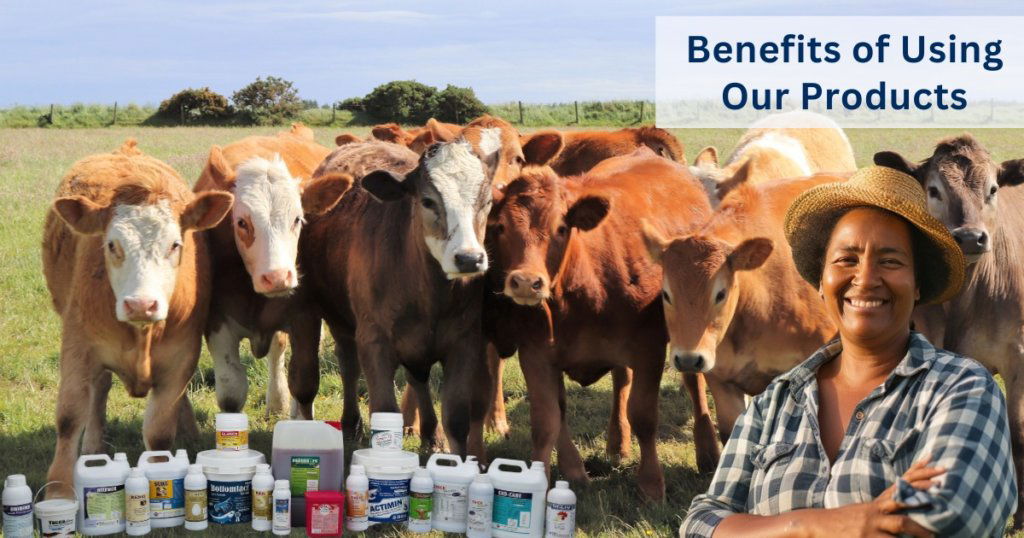 Benefits of Using Our Products