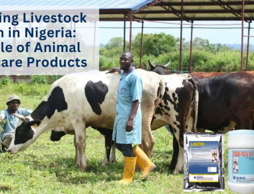 Enhancing Livestock Health in Nigeria with Animal Healthcare Products